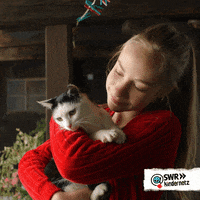 Cat Cut GIF by SWR Kindernetz