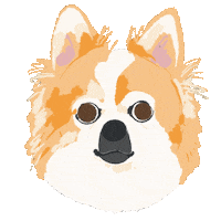 Dog Taiwan Sticker