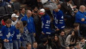Blue Jays Baseball GIF by NHL