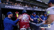 Blue Jays Sport GIF by MLB