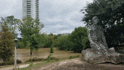 MFDtheArtist houston flood harvey GIF