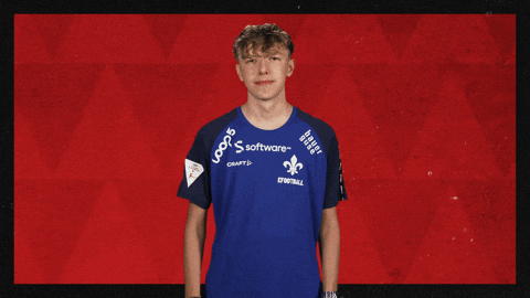 Sv Darmstadt 98 Football GIF by Bundesliga