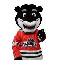 Hockey No Sticker by Augsburger Panther Eishockey GmbH