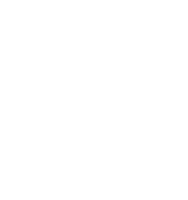 Stars Shine Sticker