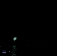 Spectators Gasp as Lightning Flashes Behind Fireworks Display in Washington