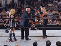 wwe sports wwe wrestling 2002 GIF