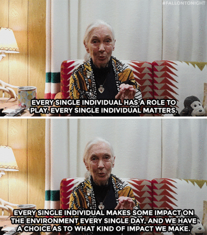 Tonight Show GIF by The Tonight Show Starring Jimmy Fallon