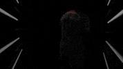 Germany Football GIF by Bundesliga