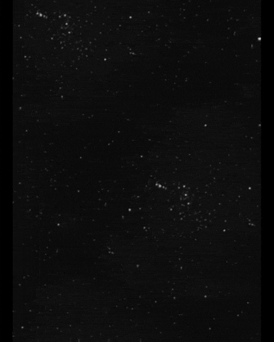 Cybertech_Conference giphygifmaker giphyattribution GIF