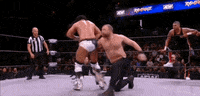Claudio Castagnoli Wrestling GIF by AEWonTV