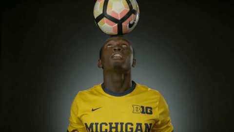 GIF by Michigan Athletics