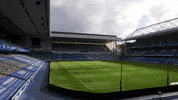 Gers GIF by Rangers Football Club