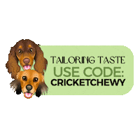 Cricket Mushu Sticker by zoopeez