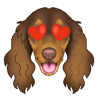 Sausage Dog Dachshund Sticker by zoopeez