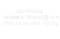 Abi Aile Sticker