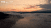 Venture Capital GIF by Invest Europe