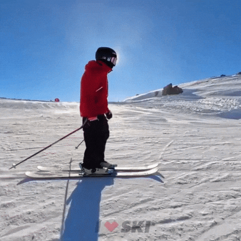 Have A Great Day GIF by I LOVE SKI
