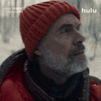 Looking Around Season 2 GIF by HULU