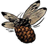 Velozee flying bug roach velozee Sticker