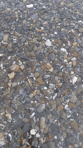 Simongip giphygifmaker GIF