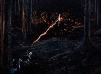 Walt Disney GIF