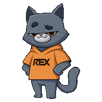 Rexex cat exchange cripto rexex Sticker