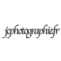 Sport Photo Sticker by jcphotographie