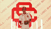 Fighton GIF by USC Trojans