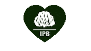 Heart Love Sticker by Presbiteriana IPB