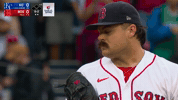 Red Sox Smile GIF by MLB