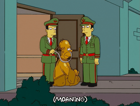 homer simpson GIF