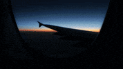 on my way tiÃÂ«sto GIF by Tiësto