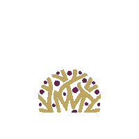 Bonelli Sticker by bonelliconstrutora