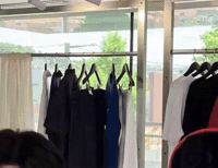 Ald1 GIF