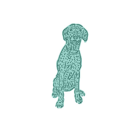 Dogwalkers giphyupload Sticker