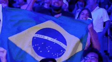 Brazil Flag Sport GIF by UFC