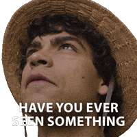 One Piece GIF by NETFLIX