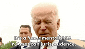 Joe Biden Democrats GIF by GIPHY News