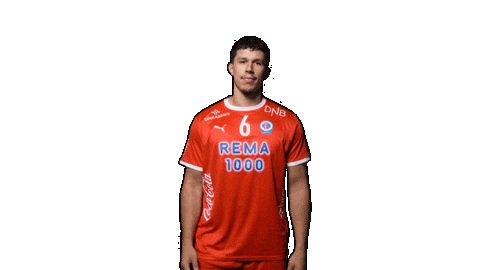 Adam Blanche Sticker by kolstadhandball