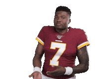 Washington Football Team Sticker by NFL