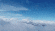 GIF by For 91 Days