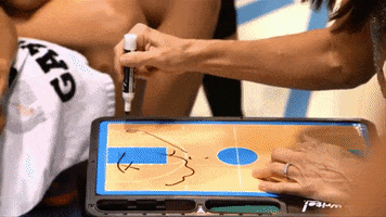 Diana Taurasi Basketball GIF by WNBA