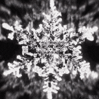 Black And White Loop GIF by Pi-Slices