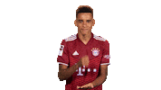 Deciding Bayern Munich Sticker by Bundesliga