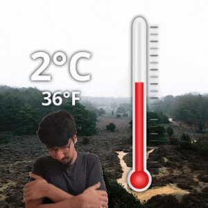 2 °C
