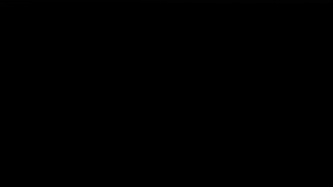 animation explode GIF by Lion Beach