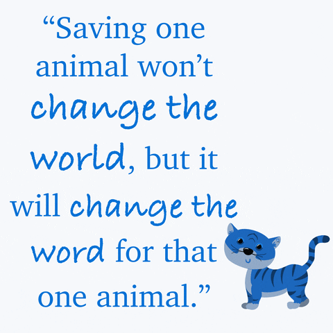 Wa Largest Volunteer Animal Rescue GIF by SAFE Inc