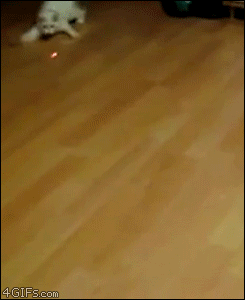 GIF by Demic