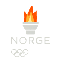 Team Norway Sticker by Idrettsforbundet