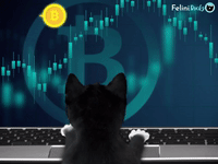 Felini Crypto Investor Kitty Cat | Bought the Dip